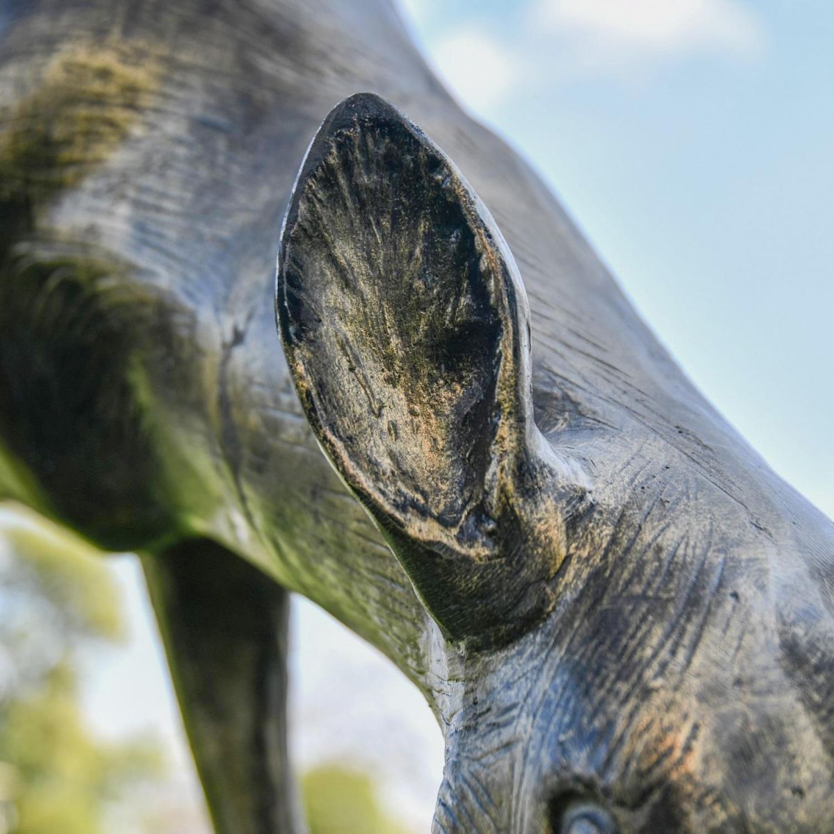 Close up of Brushed Gold Doe Ear on Sculpture 