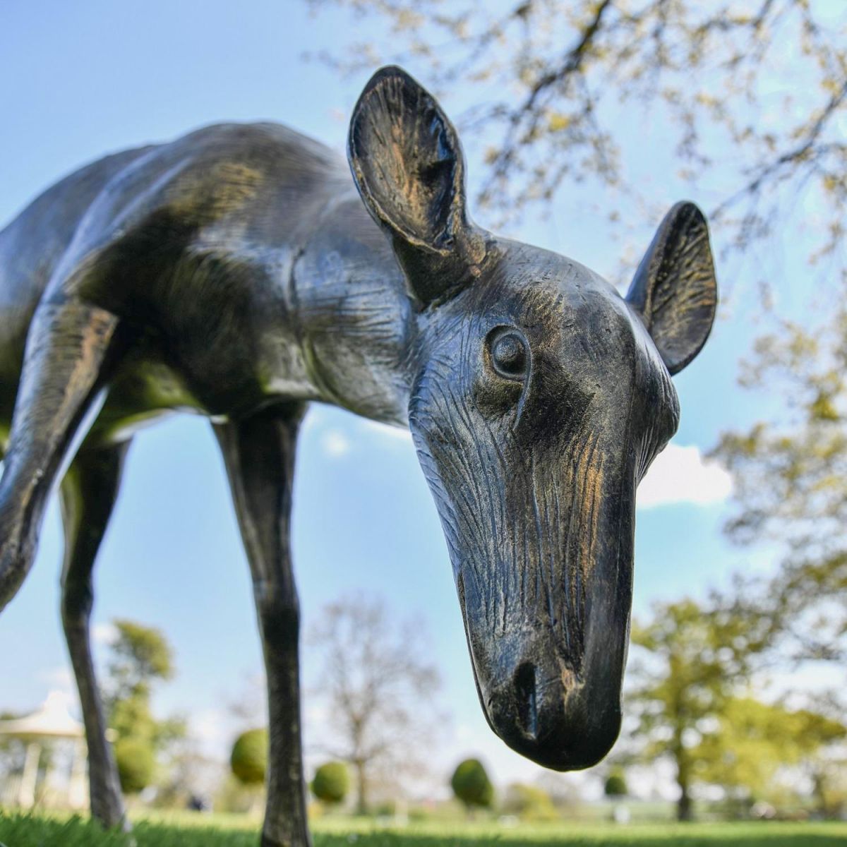 Close up of Brushed Gold Doe Head 