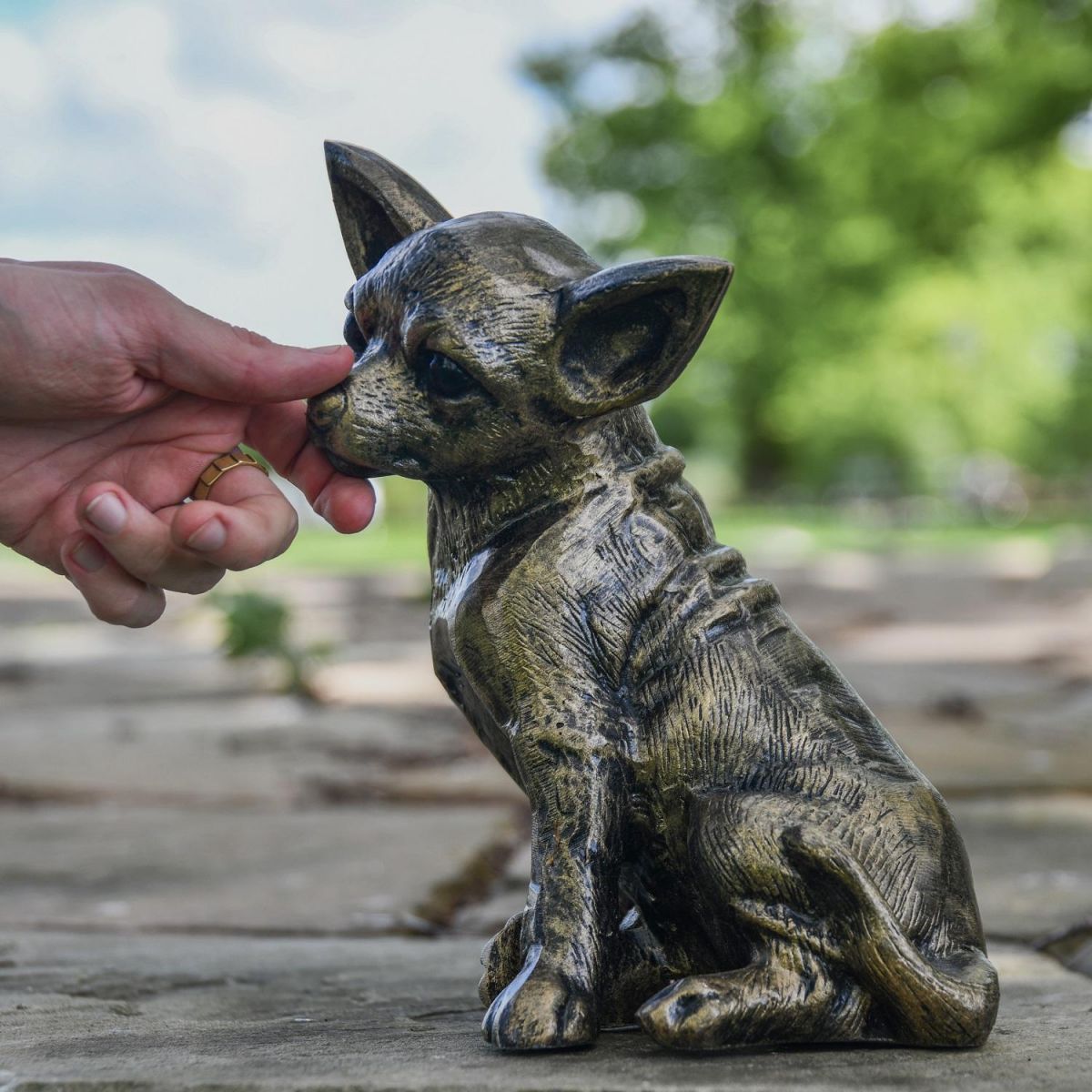 Brushed Gold Sitting Chihuahua Sculpture with Hand for Scale 