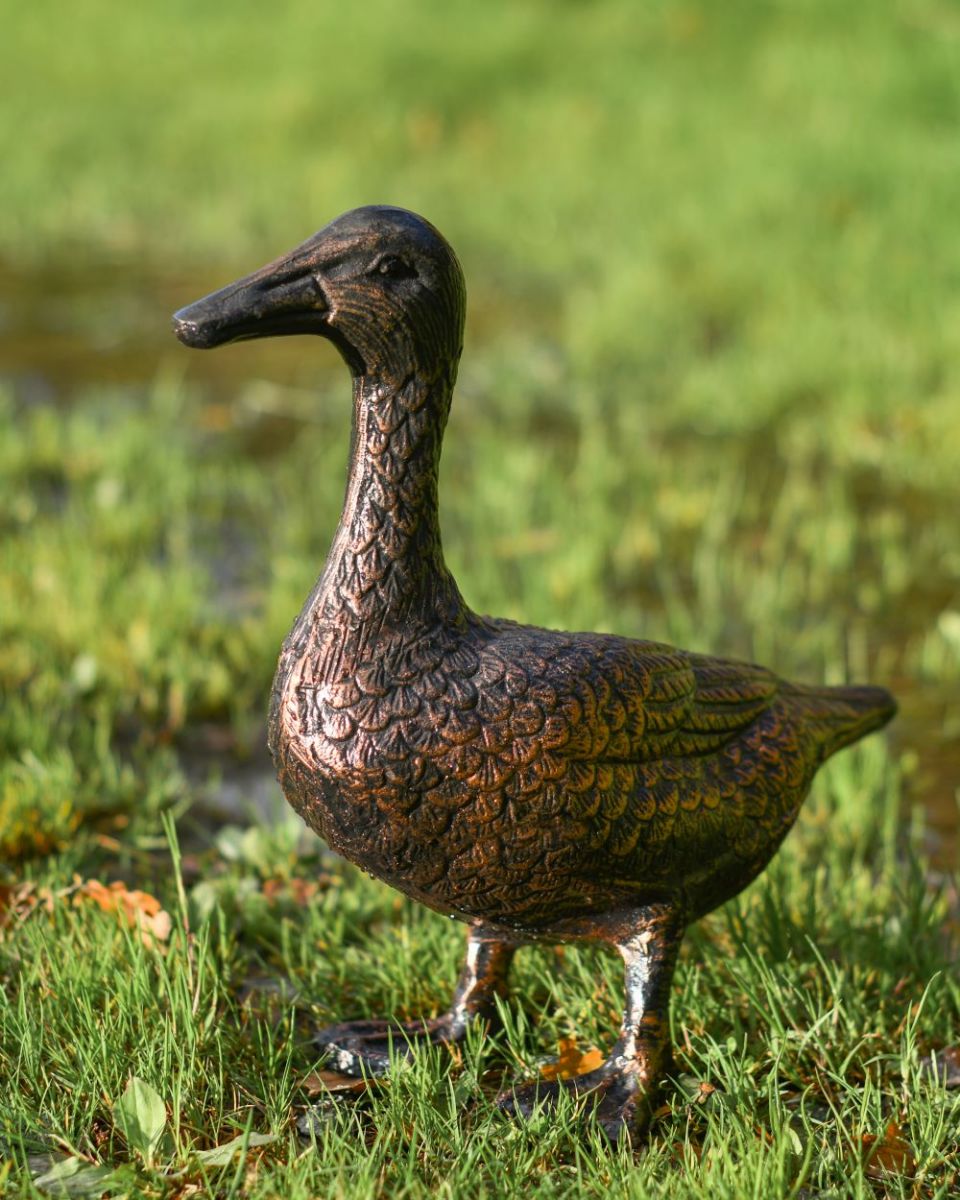 Three quarter view of bronze standing duck sculpture