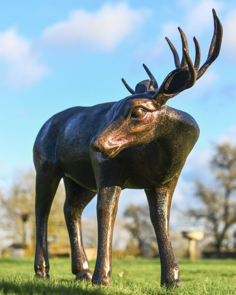 "Magnus" Buck Sculpture In Situ 