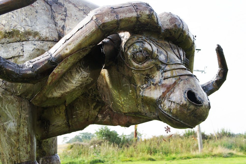 "Southern Saharan Cape” Buffalo Garden Sculpture 