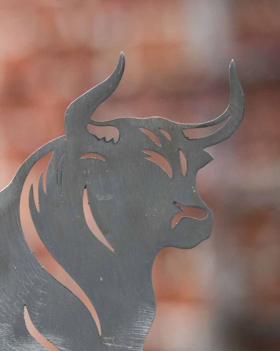 Bull Artistic Plant Pot Spike - Set of Two close up of head