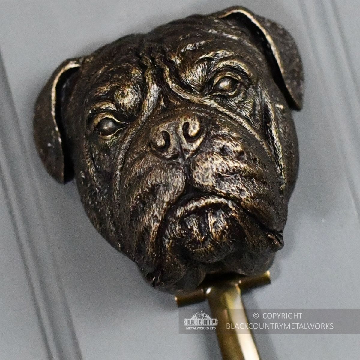 Close-up of the Bullmastiff"s Face