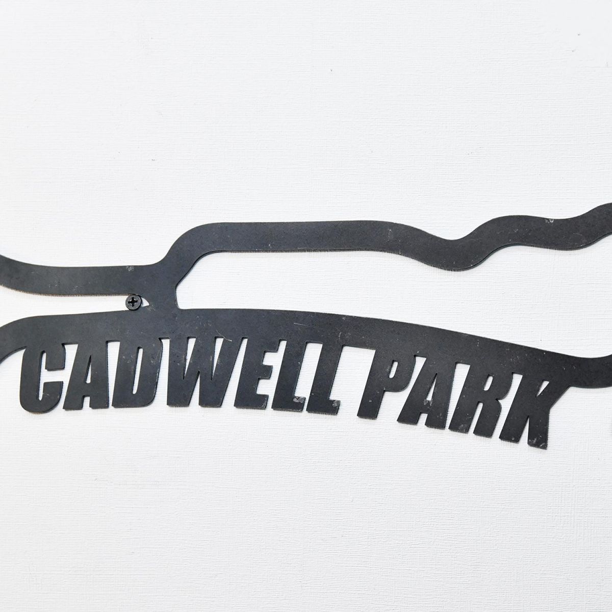 Cadwell Park Race Track Natural Steel Wall Art Close-Up