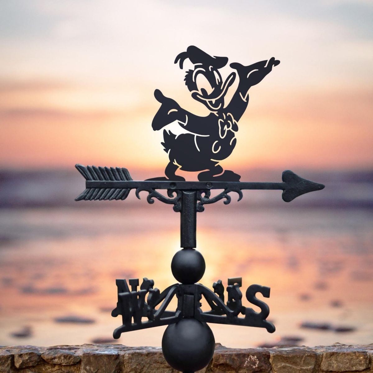 Cartoon Male Duck Weathervane