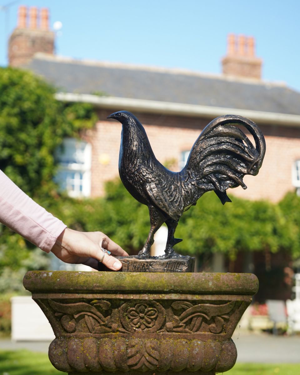 Cast aluminium bronze rooster garden sculpture scale