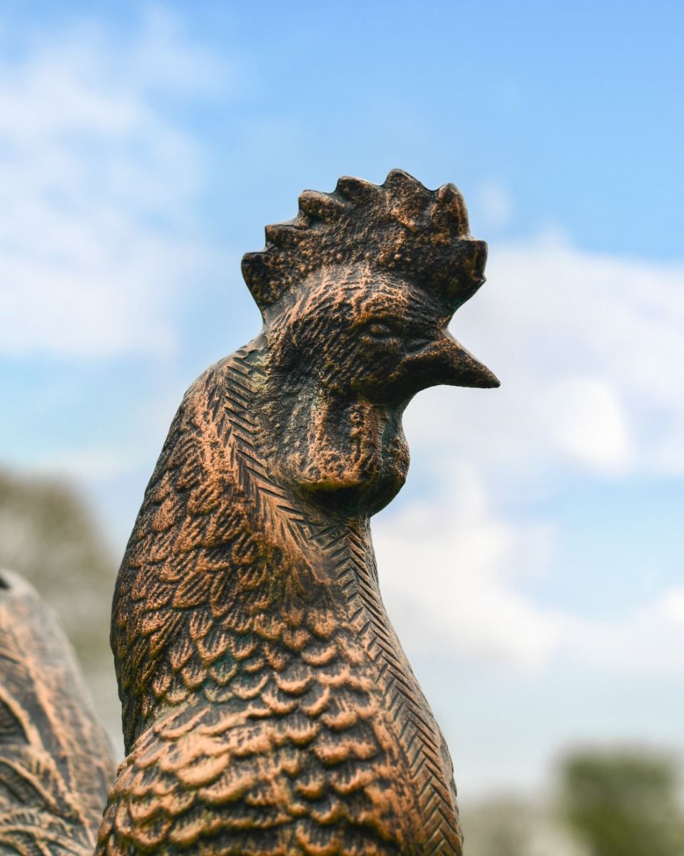 Cast Aluminium "Casper" Rooster Garden Sculpture in Brushed Bronze