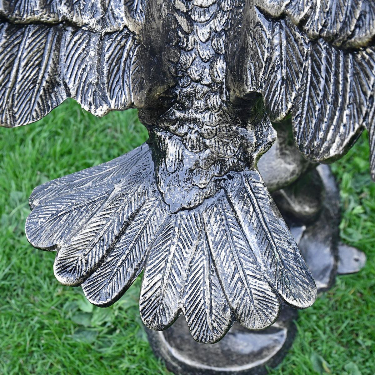 Close-up of the Detail on the Tail of the Eagles Close-up of the Detail on the Tail of the Eagles