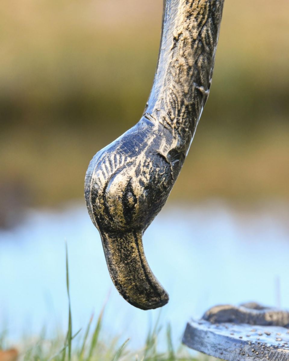 Close-Up of Flamingo Head on Cast Aluminium Garden Sculpture Close-Up of Flamingo Head on Cast Aluminium Garden Sculpture