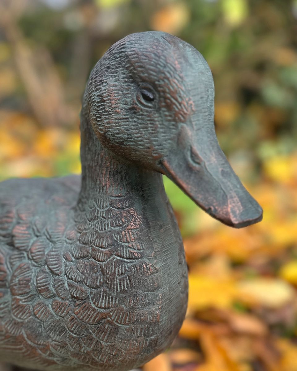 Close Up Of The Face From The Verdigris Duck Sculpture Close Up Of The Face From The Verdigris Duck Sculpture