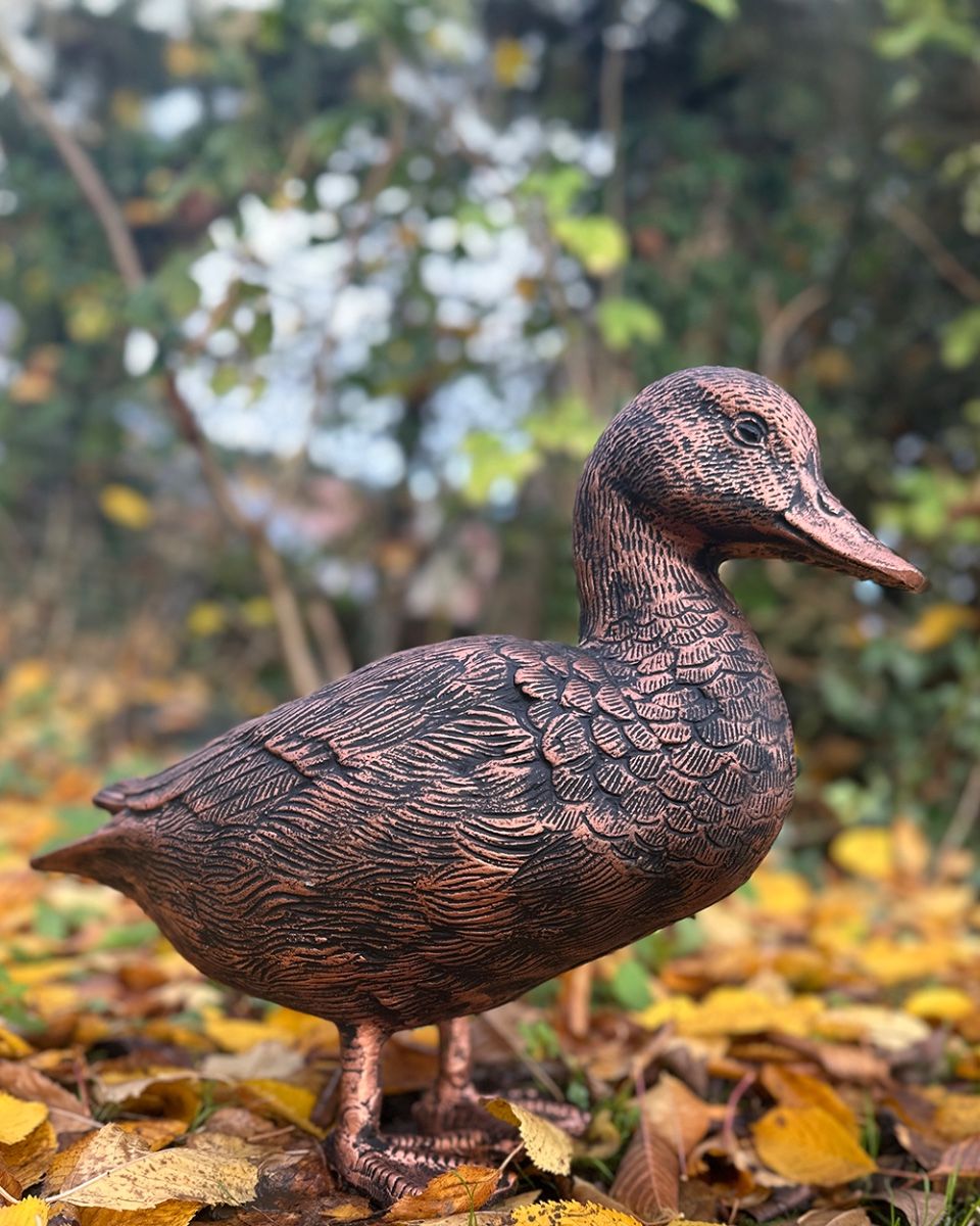Side Of Puddles The Duck Garden Sculpture In Bronze Side Of Puddles The Duck Garden Sculpture In Bronze