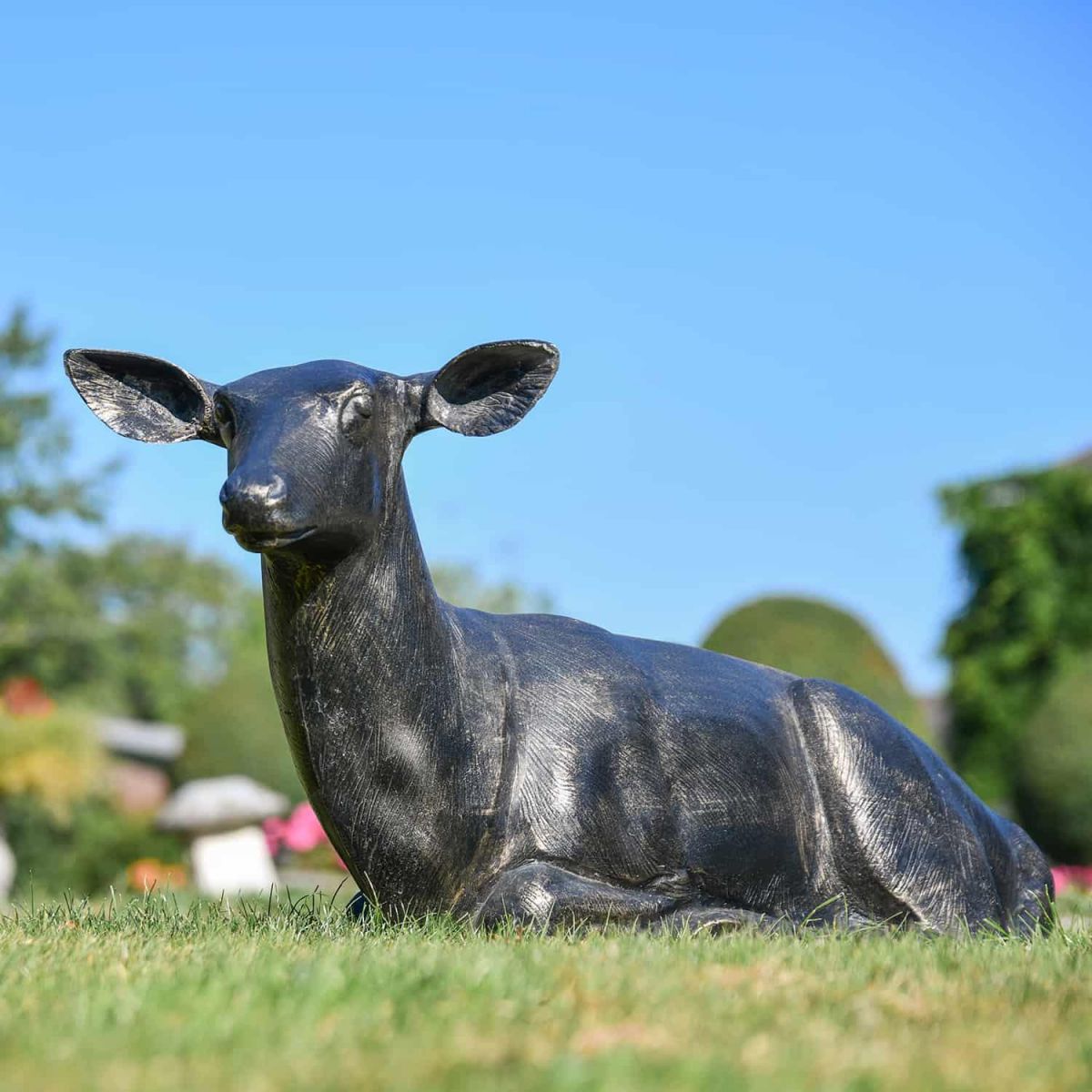 Shot of Lying Down Doe Looking Left Shot of Lying Down Doe Looking Left