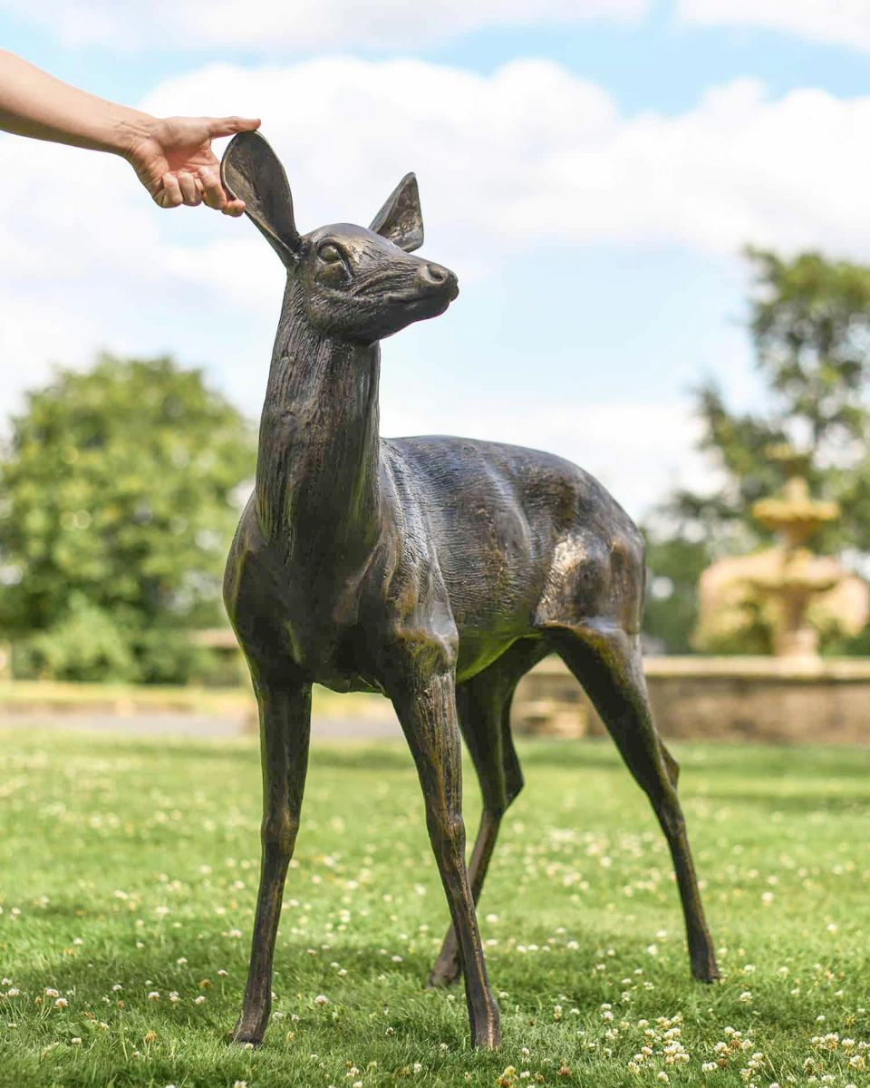 Scale Shot of Freestanding Doe Looking Left Scale Shot of Freestanding Doe Looking Left