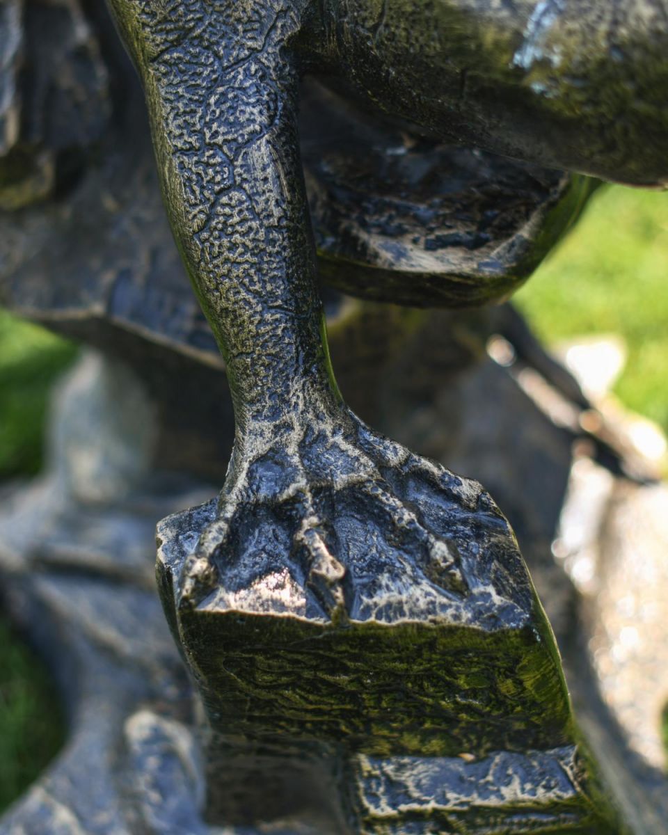 Close=Up of Dragon Hand on Rock