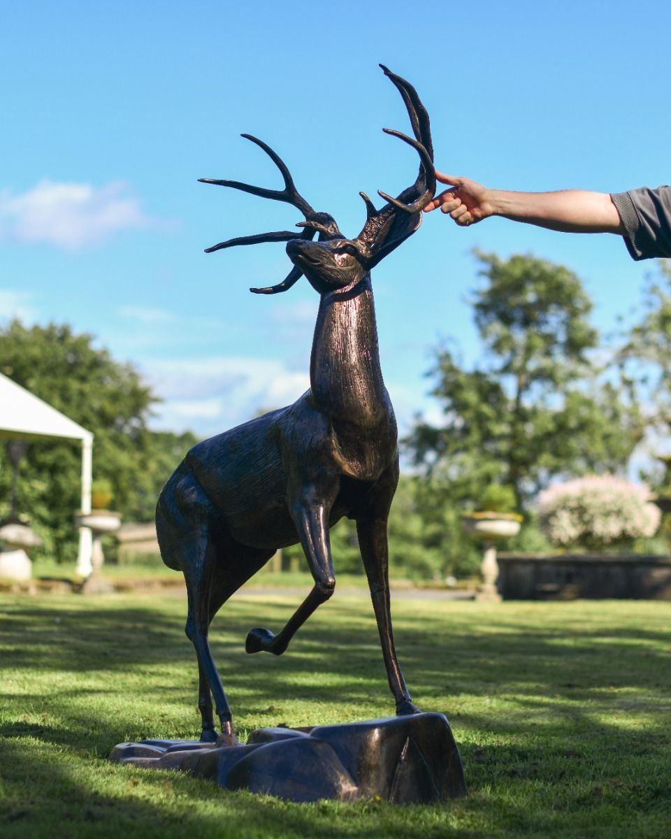 Cast Aluminum "Farnam" Stag on Rock Garden Sculpture with Hand for Scale