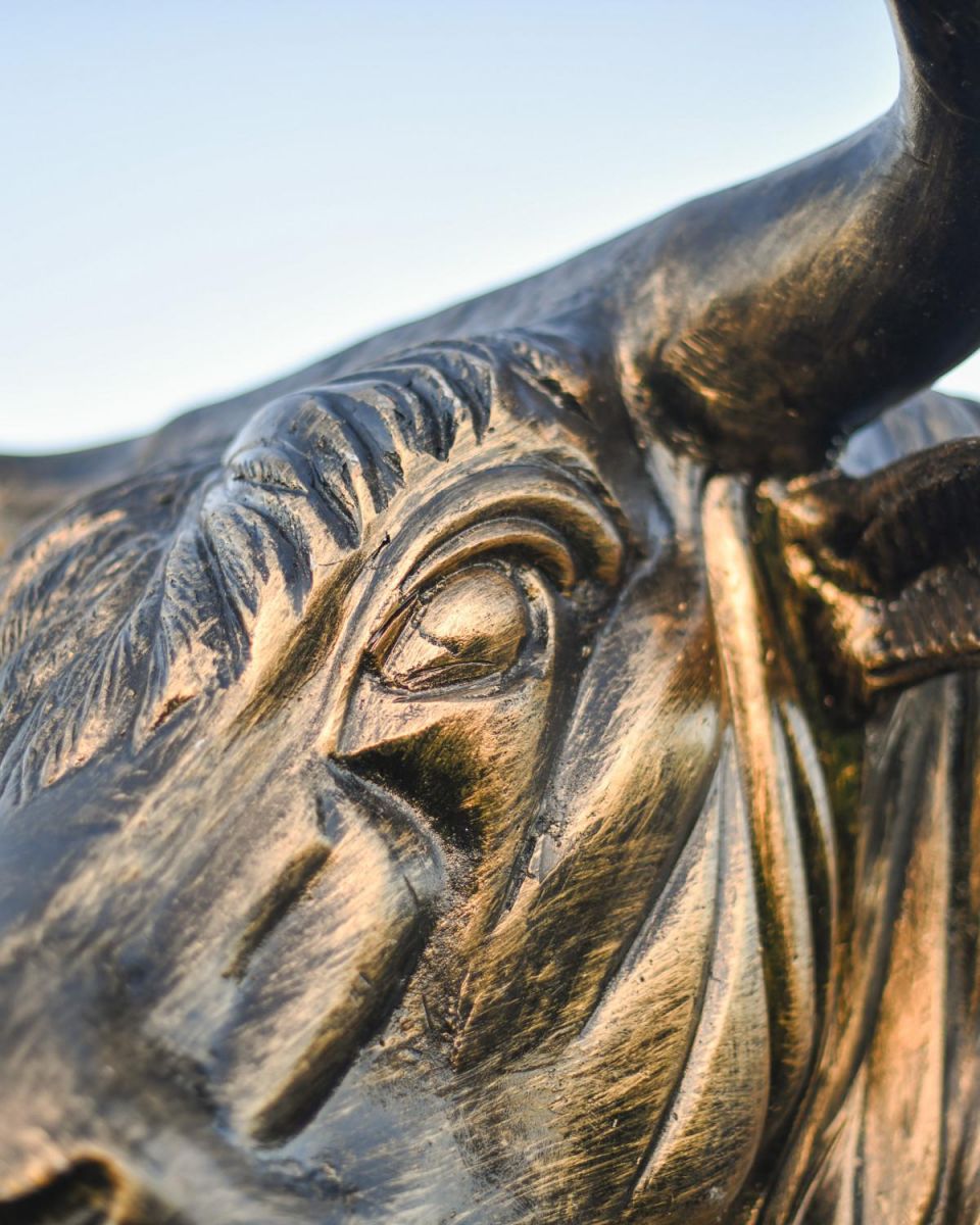 Close-Up of Detail on Bullseye