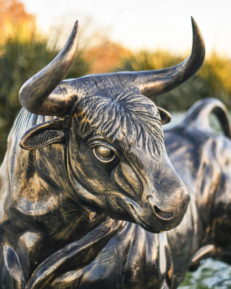 Cast Aluminium "Raging Bull" Garden Sculpture in Situ