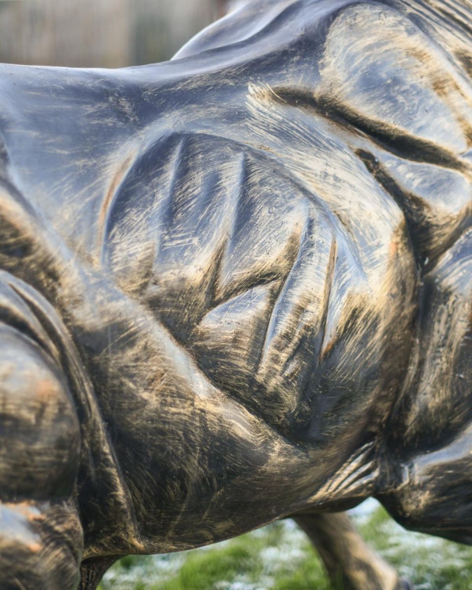 Close-Up of Cast Aluminium "Raging Bull" Garden Sculpture 