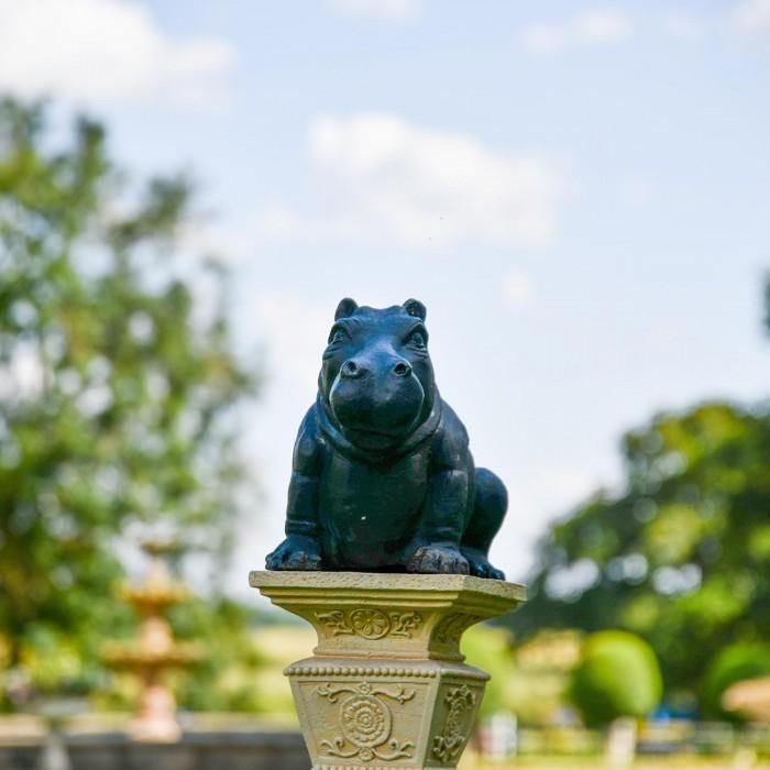 Cast Iron Black Hippo Sculpture in Use in the Garden Cast Iron Black Hippo Sculpture in Use in the Garden