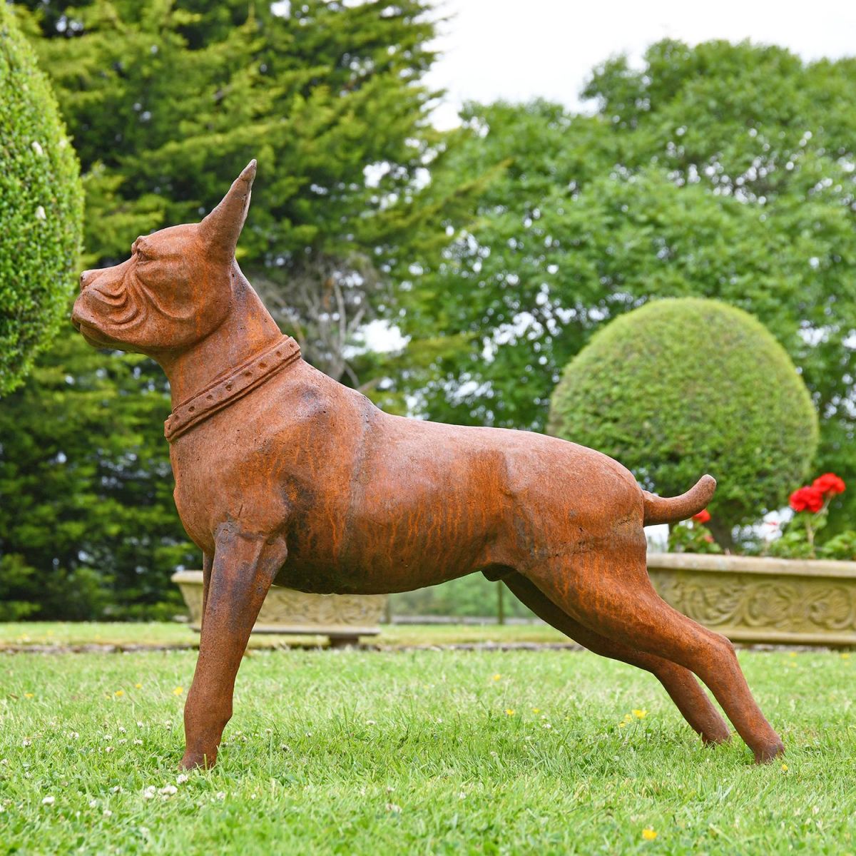Sid View of the Cast Iron Boxer Dog Sculpture