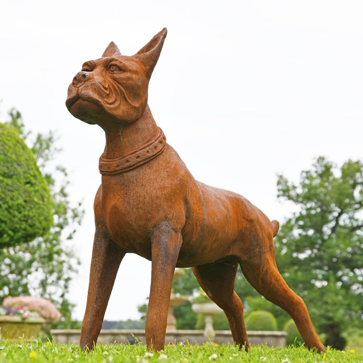 Cast Iron Boxer Dog Sculpture in a Rustic Finish