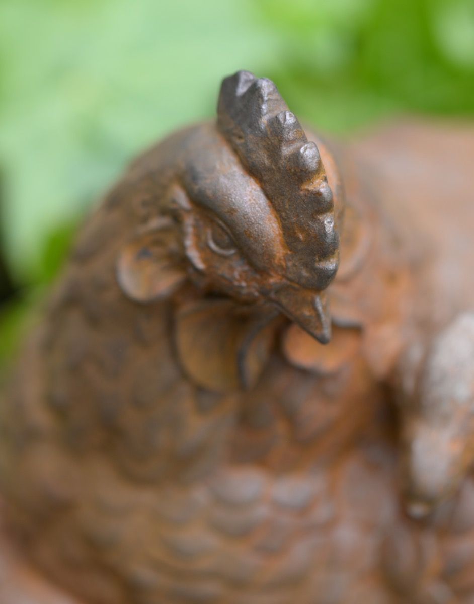 Close-Up Head of Cast Iron Hen & Chicks Sculpture