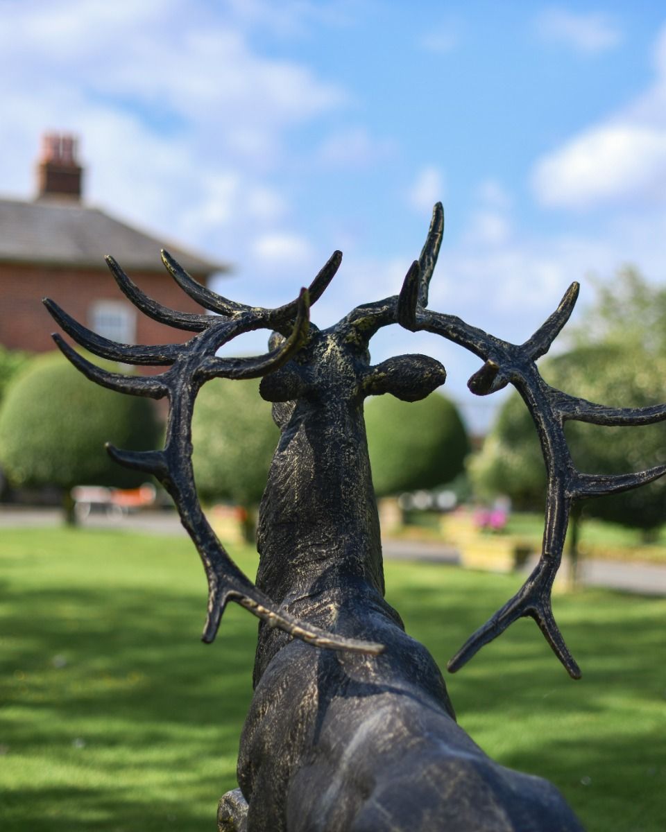 Cast Iron Evander Stag Sculpture in Antique Gold Back of Antlers