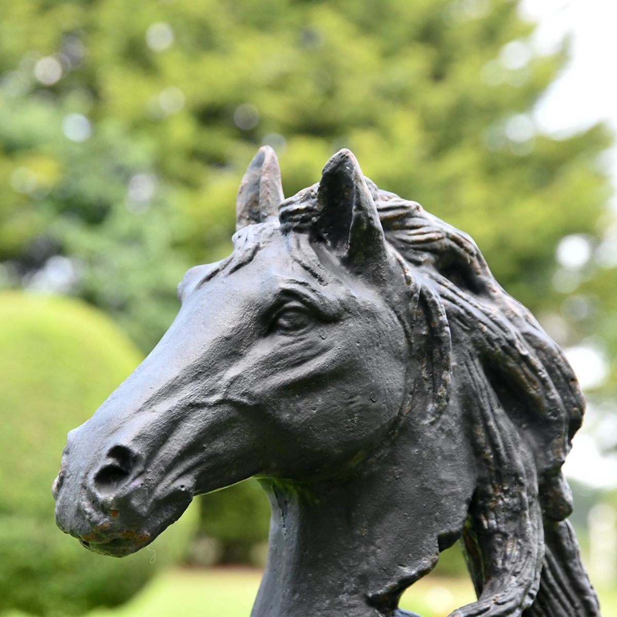 Close-up of the Face of the Horse Head Bust