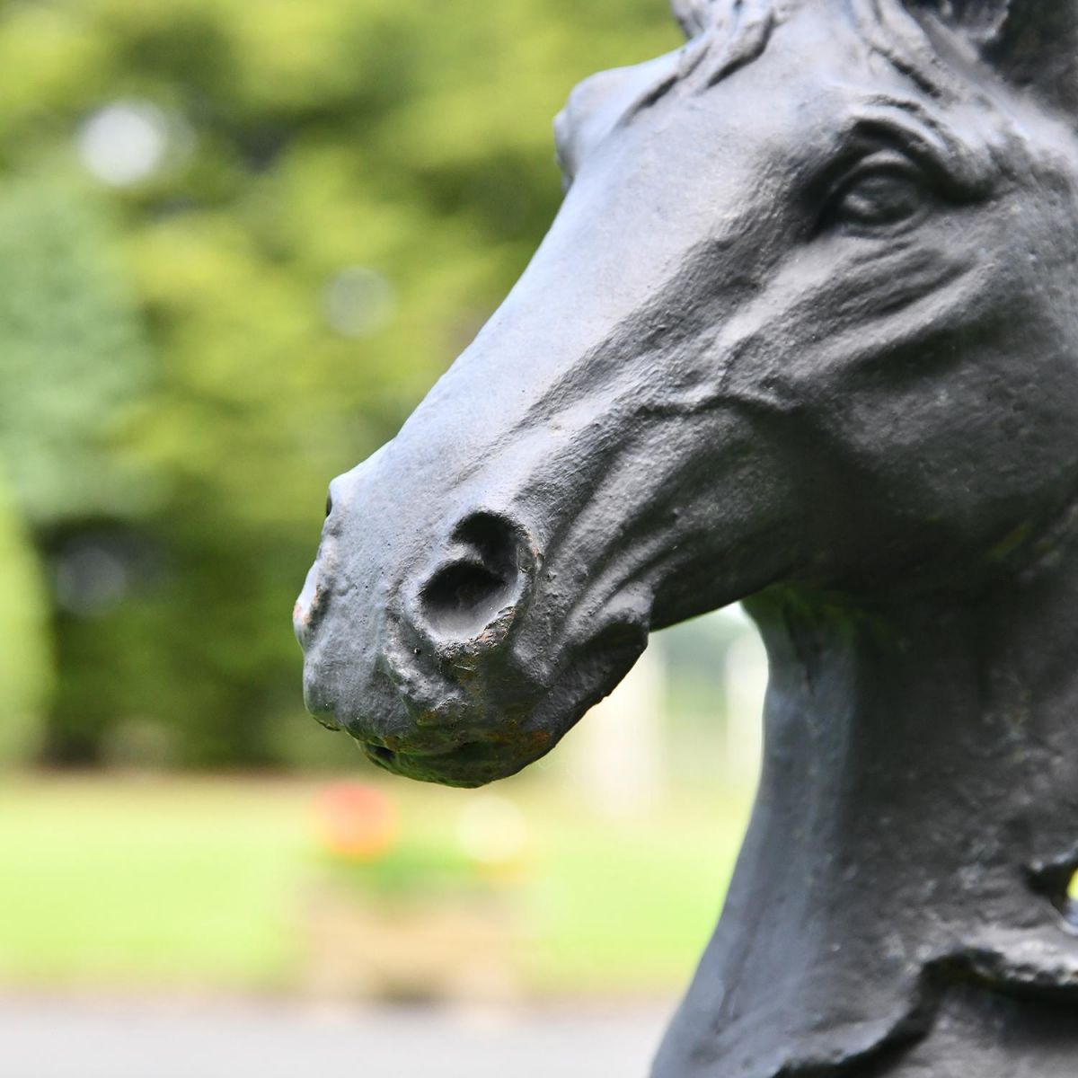 Close-up of the Black Finish on the Cast Iron Horse Head Bust