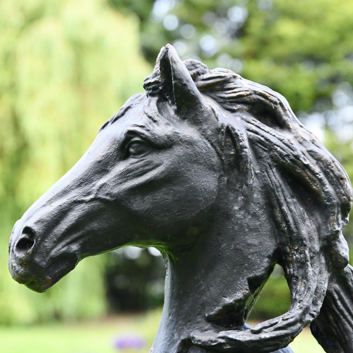 Side View of the Head of the Cast Iron Horse Head Bust