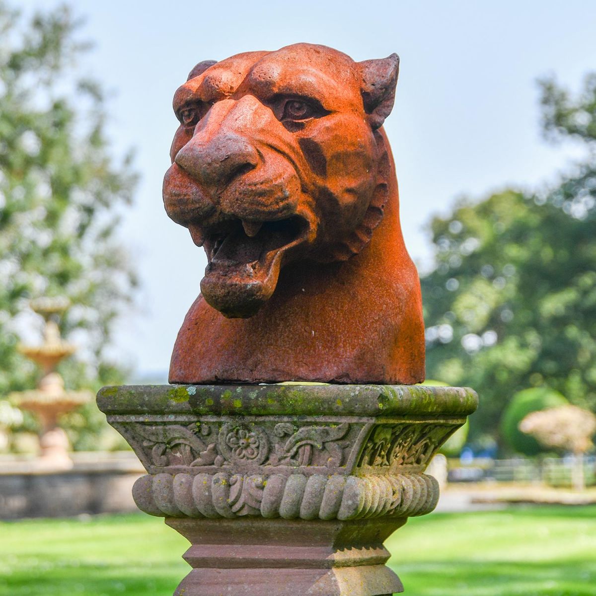 Cast Iron Rustic Jaguar Bust in Use in the Garden Cast Iron Rustic Jaguar Bust in Use in the Garden