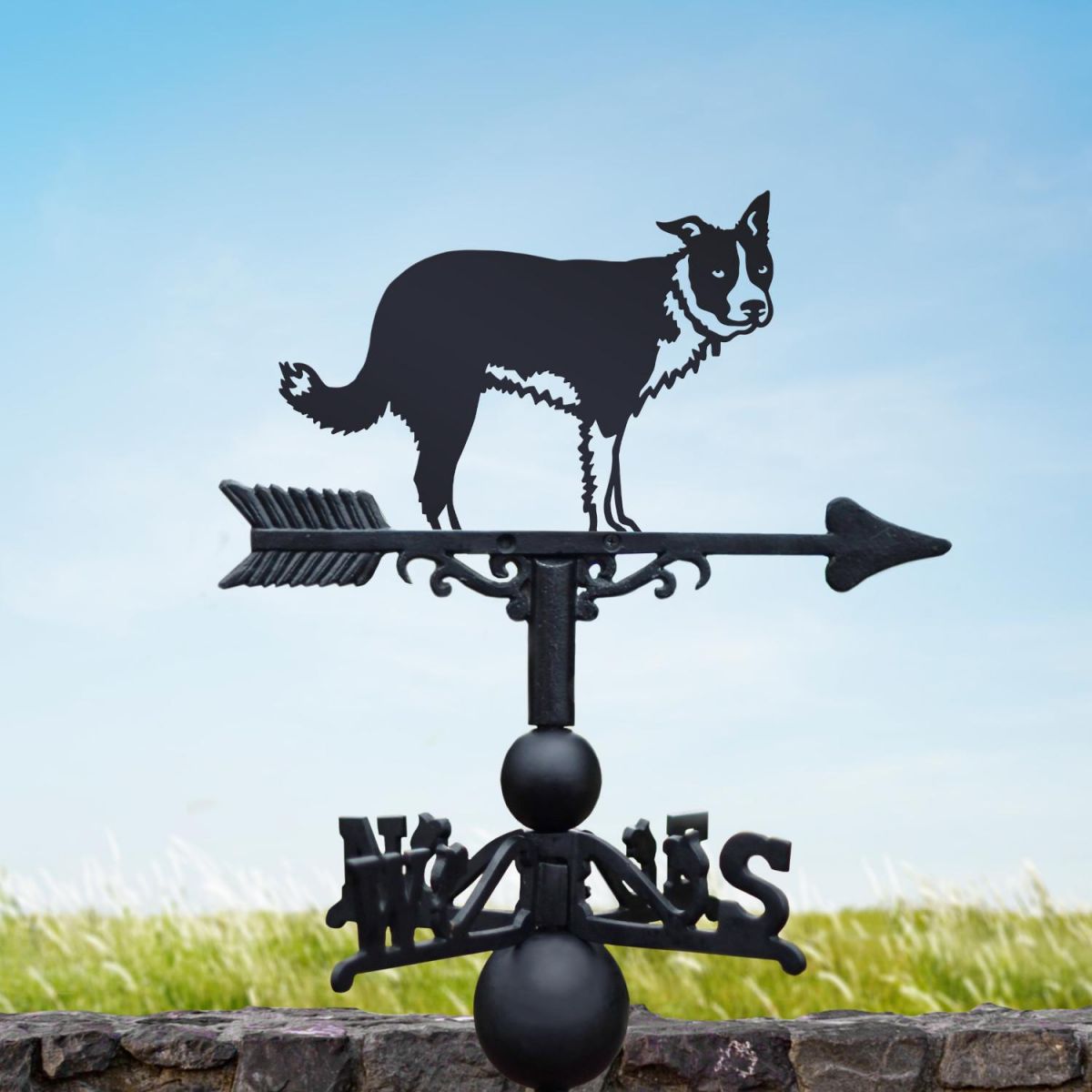 Border Collie with Ear Up Weathervane in Situ Border Collie with Ear Up Weathervane in Situ