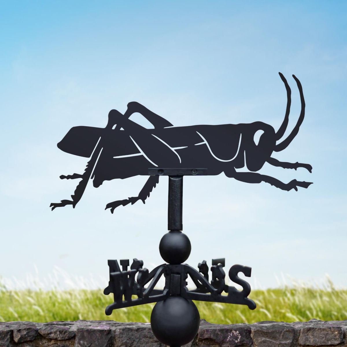 Cast Iron & Steel Weathervane with Grasshopper Topper