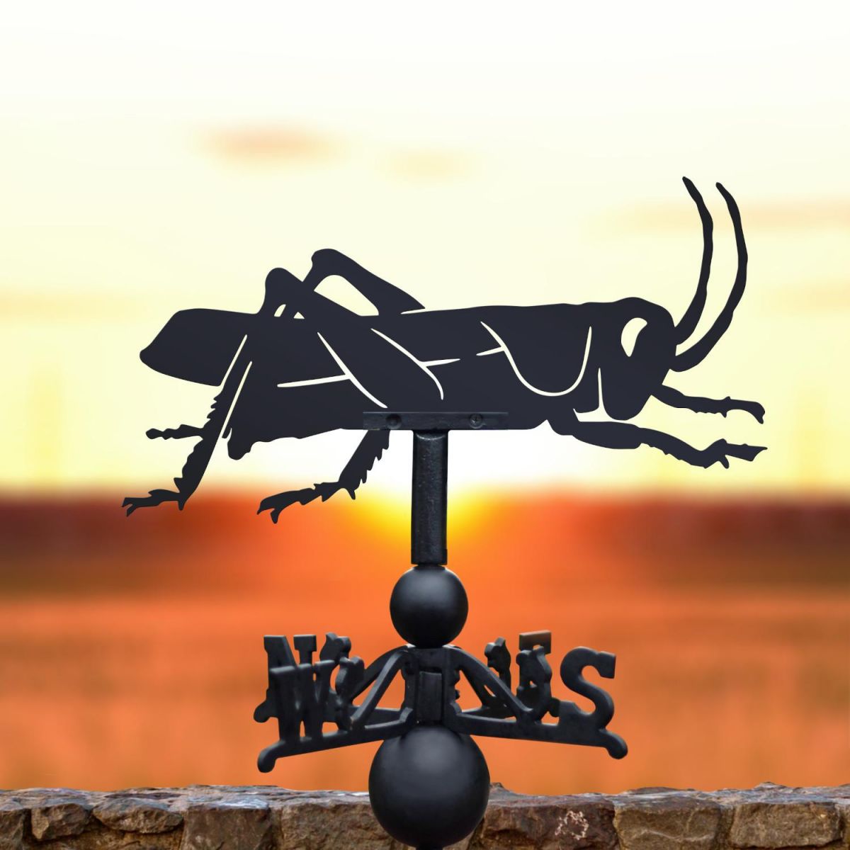 Cast Iron & Steel Grasshopper Weathervane in Situ