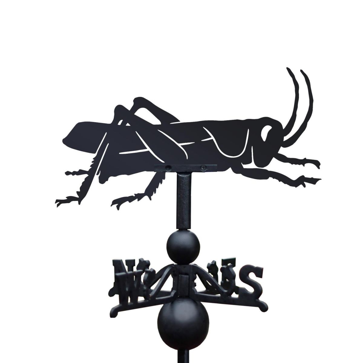 Close-Up of Grasshopper Topper