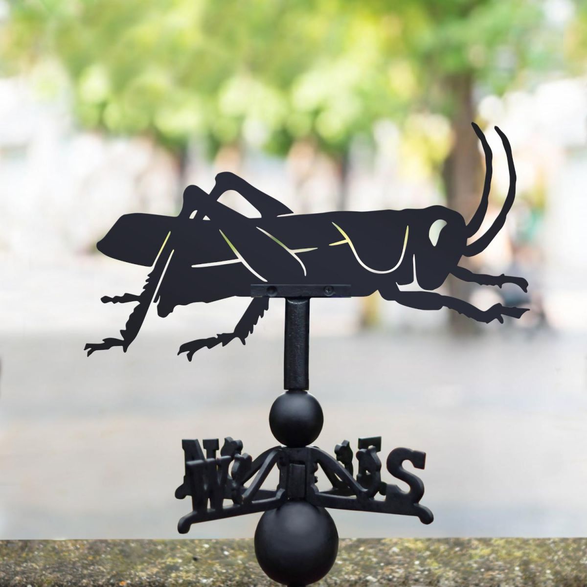 Cast Iron & Steel Weathervane with Grasshopper Topper in Situ