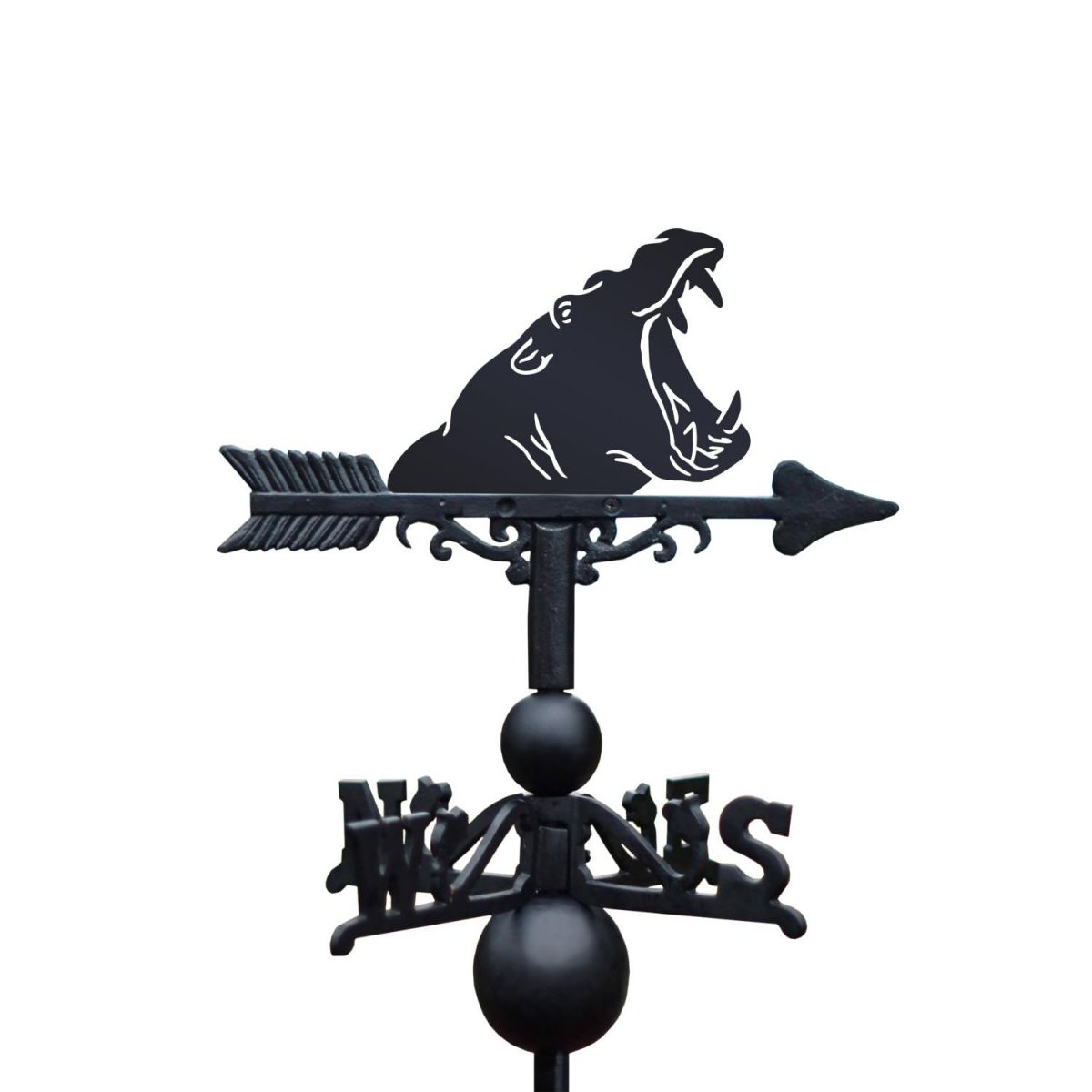 Close-Up of Hippo Head Topper