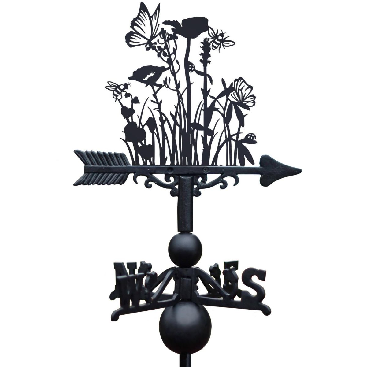 Close-Up of Meadow Topper Close-Up of Meadow Topper