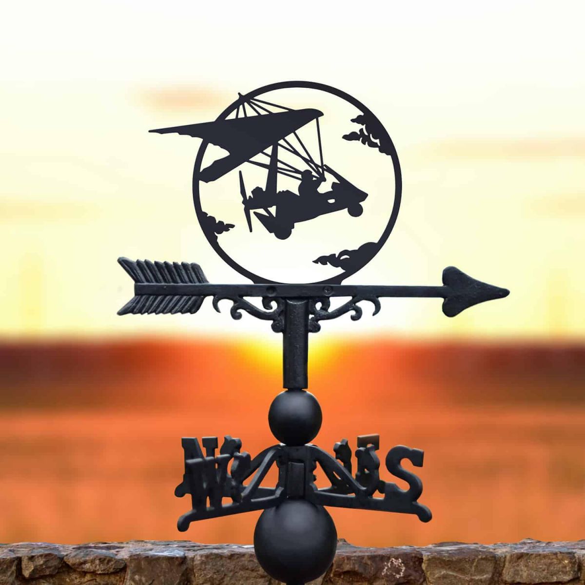 Cast Iron & Steel Weathervane with Microlight Motif