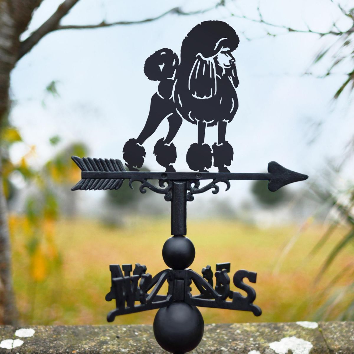 Cast Iron & Steel Weathervane with Poodle Motif