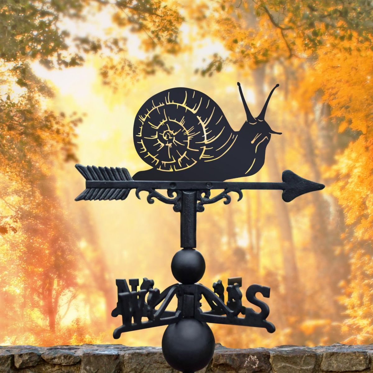 Cast Iron & Steel Weathervane with Snail Topper in Situ Cast Iron & Steel Weathervane with Snail Topper in Situ