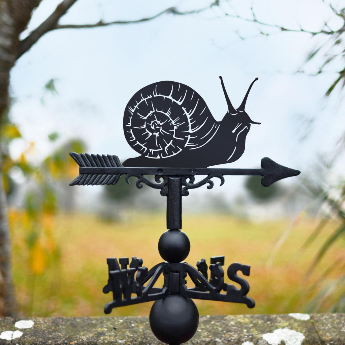 Cast Iron & Steel Weathervane with Snail Topper Cast Iron & Steel Weathervane with Snail Topper
