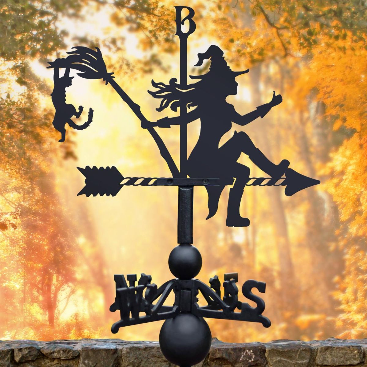 Witch & Cat Weathervane in Situ