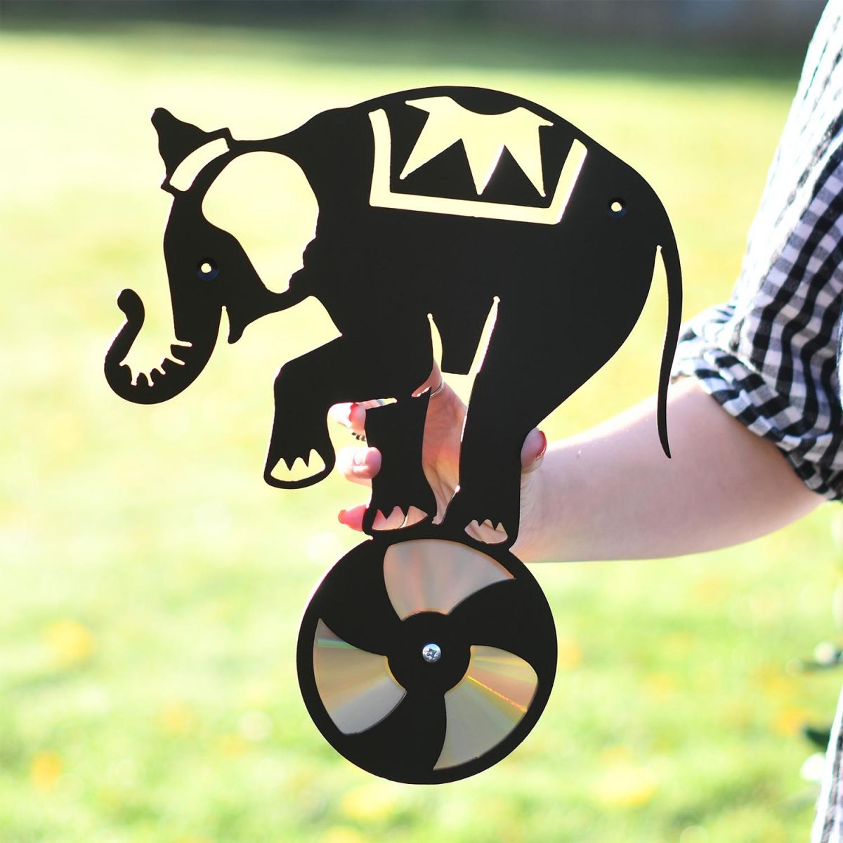 CD Elephant On Ball On Being Held