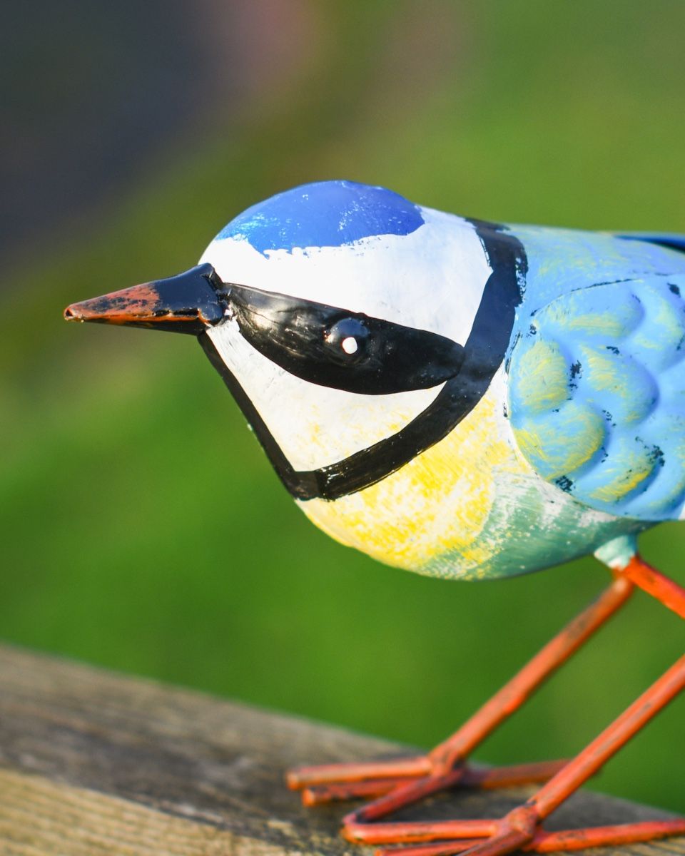 Charming Blue Tit Steel Bird Sculpture Close up head