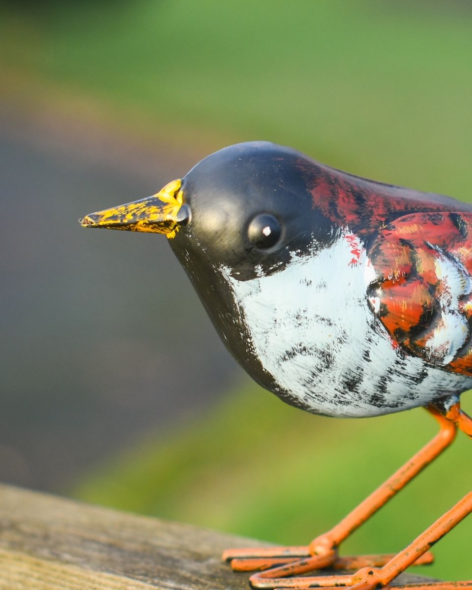 Charming Chaffinch Steel Bird Sculpture Close up headshot