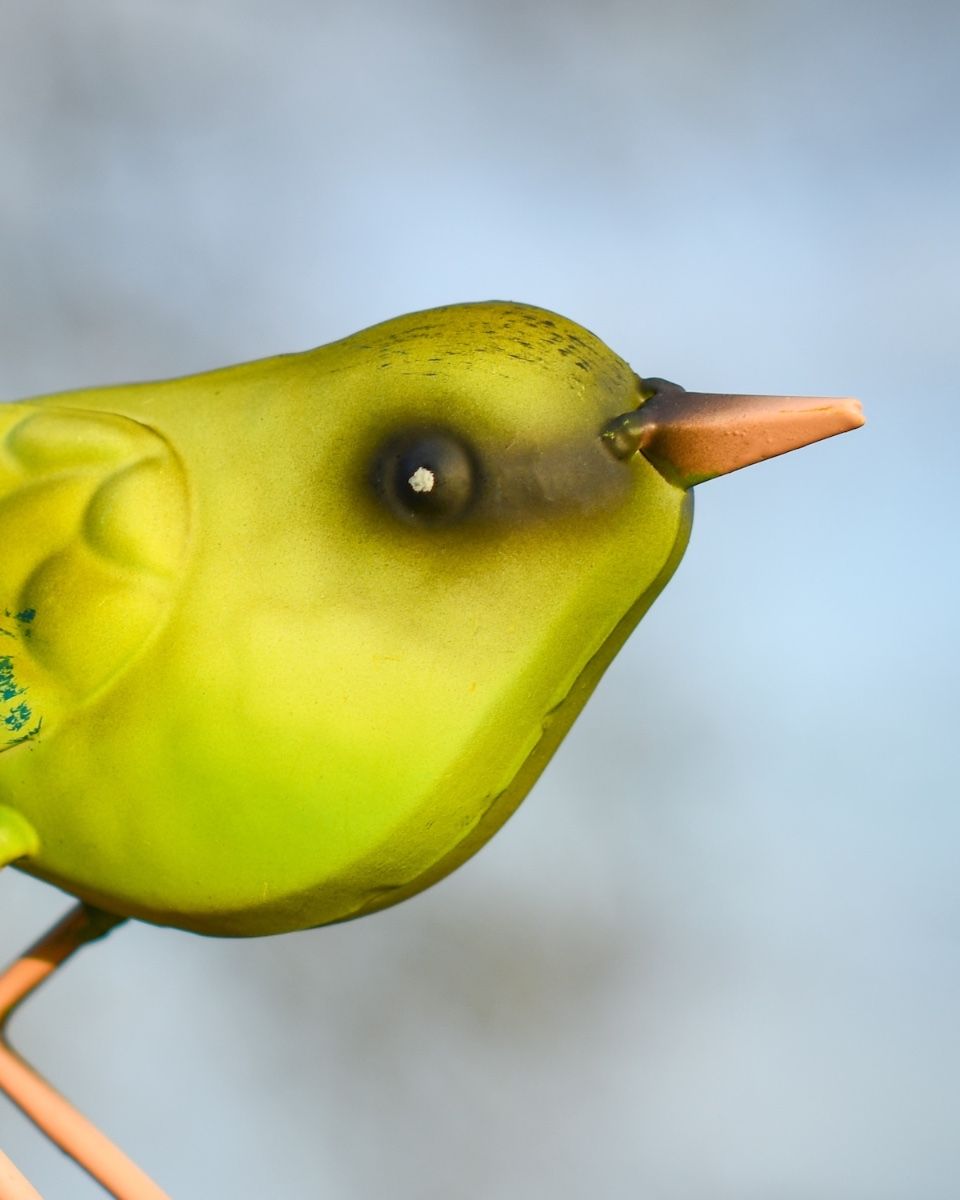Charming Greenfinch Steel Bird Sculpture Close up