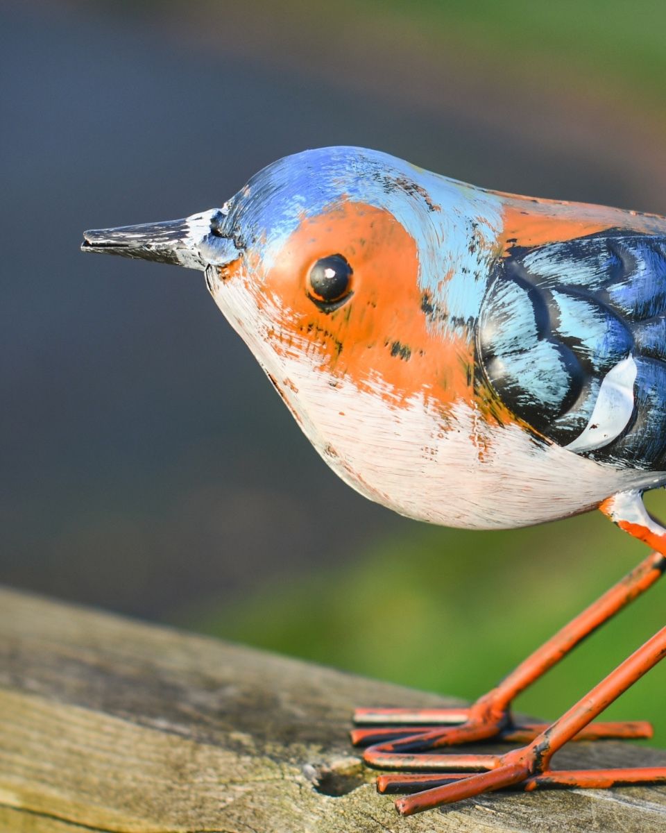 Charming House Sparrow Steel Bird Sculpture Close up head