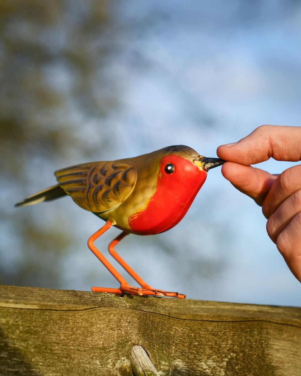 Charming Robin Steel Bird Sculpture to Scale